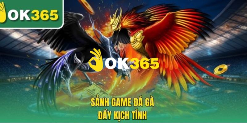 Ok365.com | Link Nhà Cái Ok365 Uy Tín Năm 2025 | Húp +65K 18 Chuyên mục đá gà hấp dẫn đỉnh cao 2025